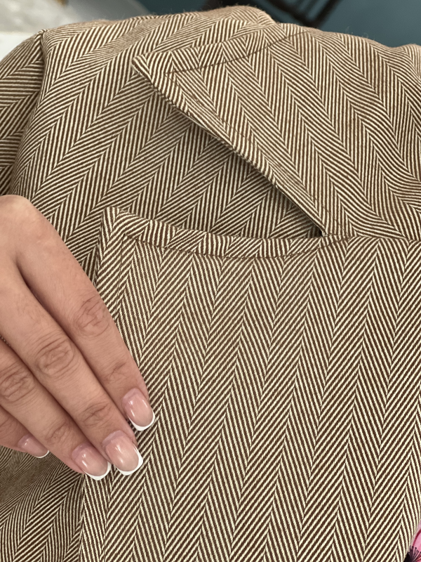 کت پالتو کشمیر